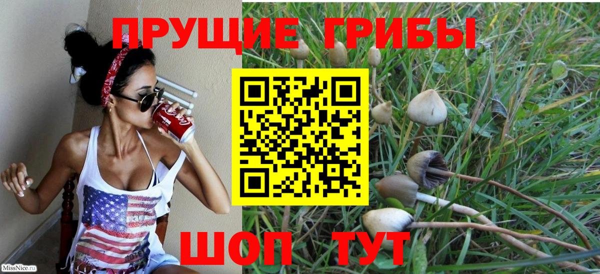 Псилоцибиновые грибы ЛСД Сосновоборск