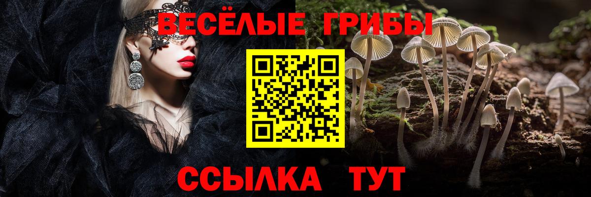 Псилоцибиновые грибы MAGIC MUSHROOMS  Вход с VPN  Сосновоборск  Псилоцибиновые грибы мухоморы 